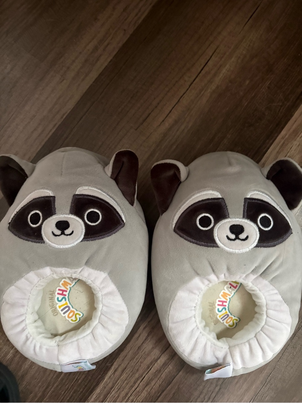 Kids Slippers with Raccoon Face - Light Gray